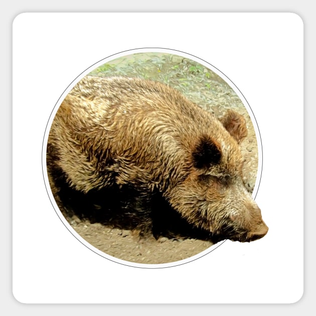 Wild boar Sticker by Guardi